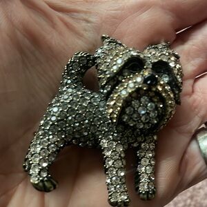 New dog broach in beautiful adorned crystals